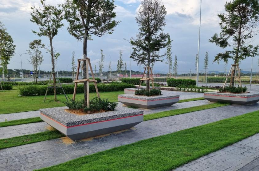Highland Landscapes completed planting detail