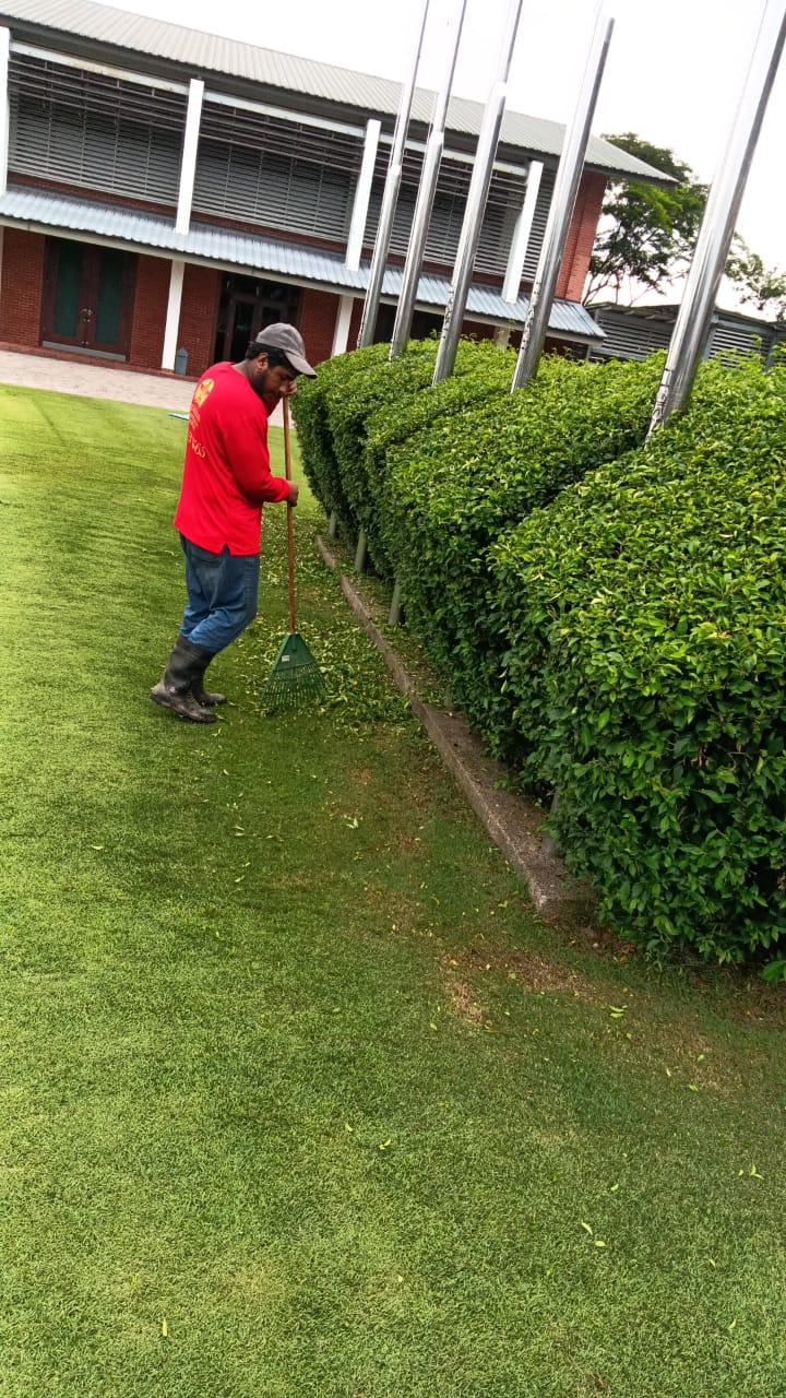 Hedge trimming commercial property
