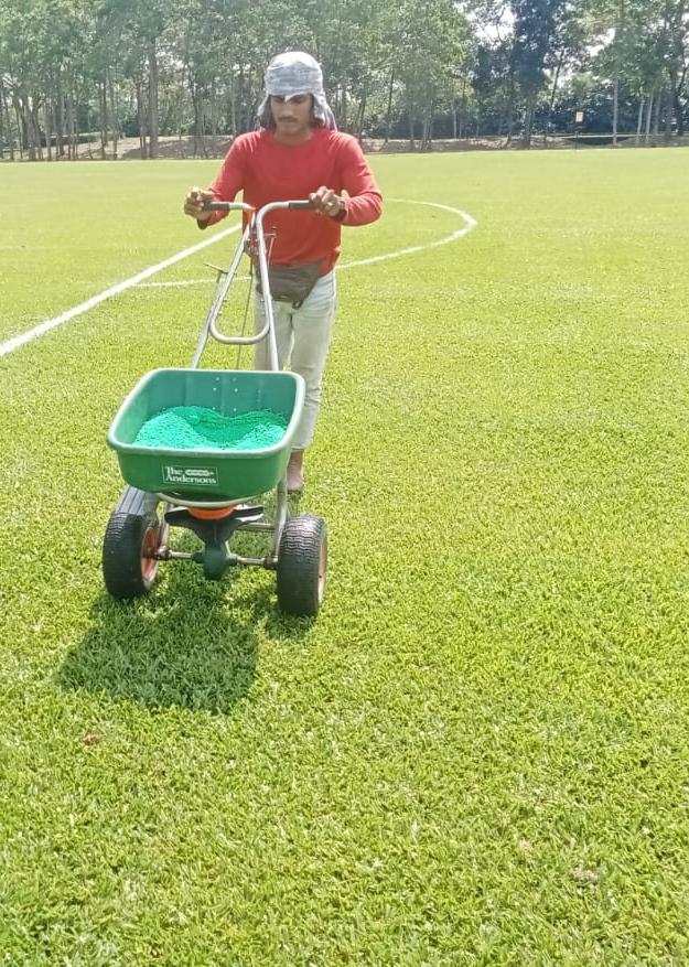 Fertiliser spreading sports turf