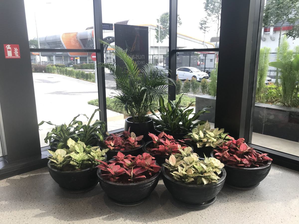 Sales gallery hardscape with red patterned paving and shrub planting