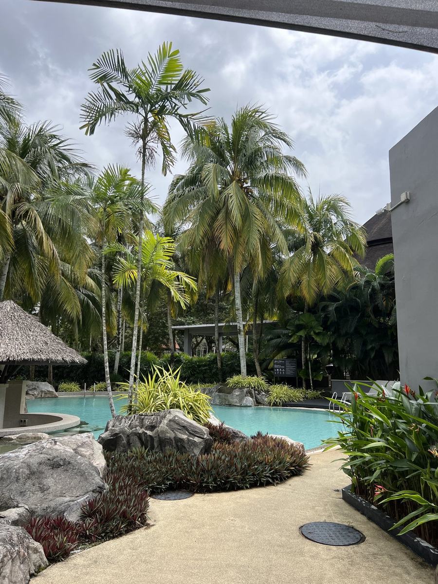 Tropical pool garden Leisure Farm